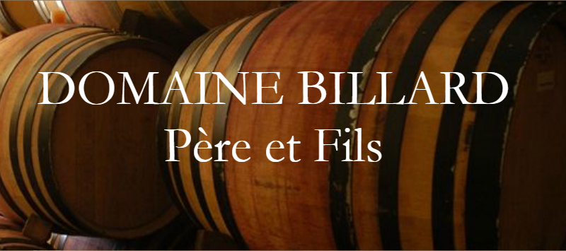 Billard Pere et Fils_logo